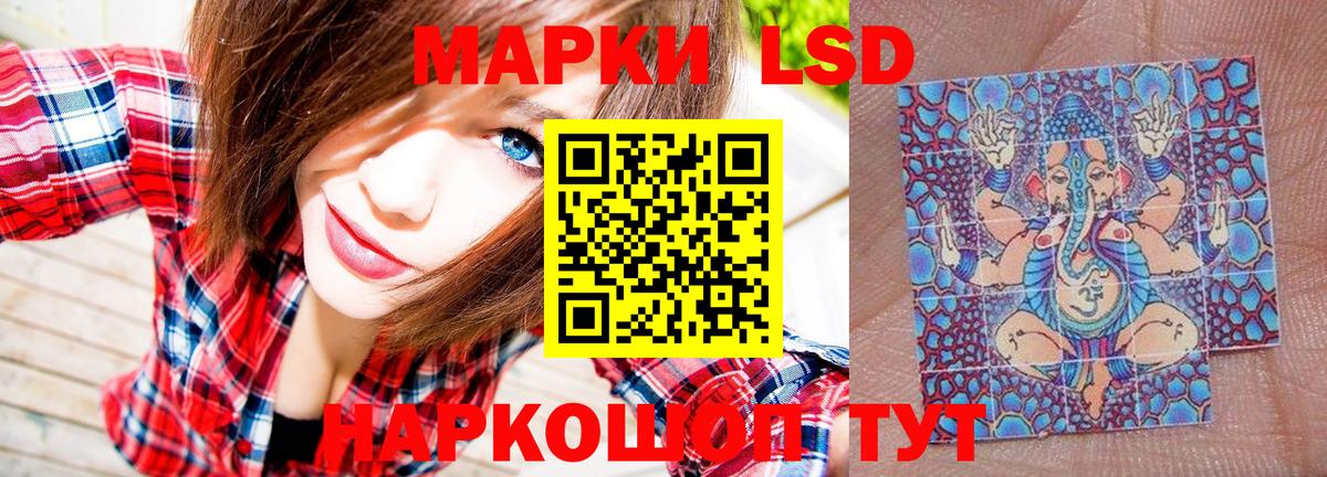 Новозыбков  Марки N-bome 1,8мг  Вход с VPN 