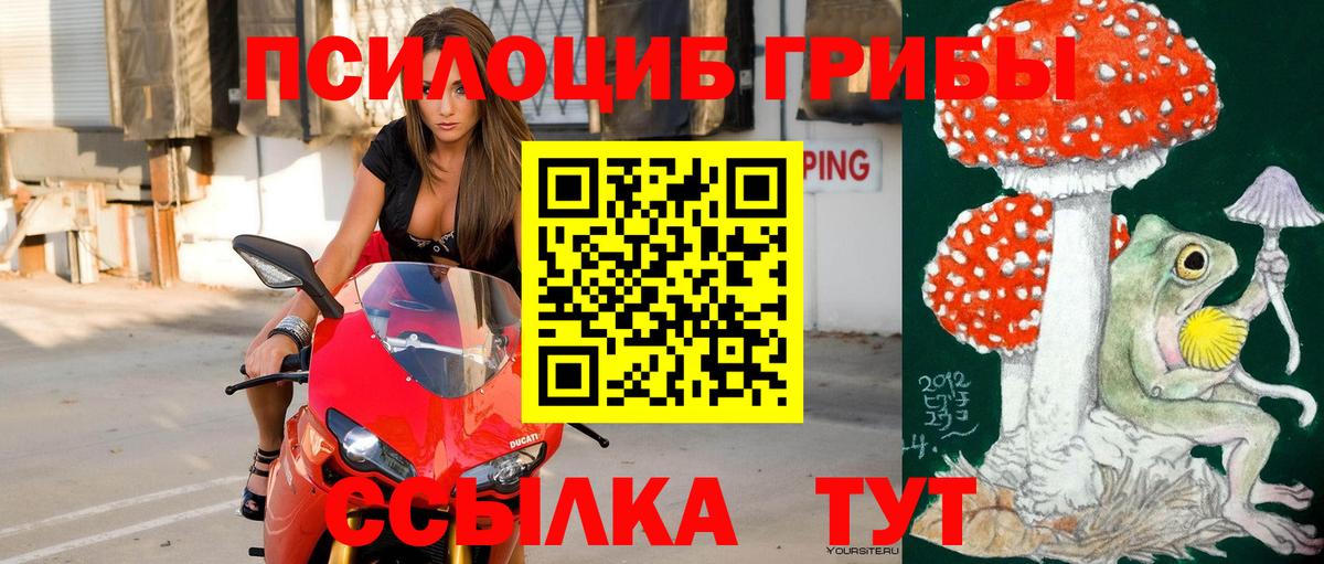 Галлюциногенные грибы мицелий Новозыбков